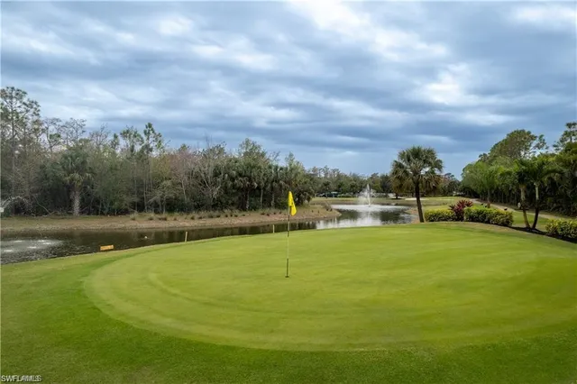 a view of a green yard