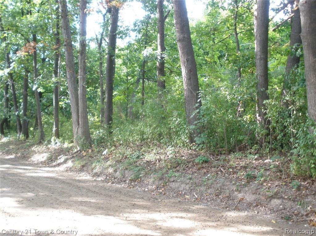 Vacant Sawmill Lake Road Goodrich, MI 48438 - Photo 2 of 9