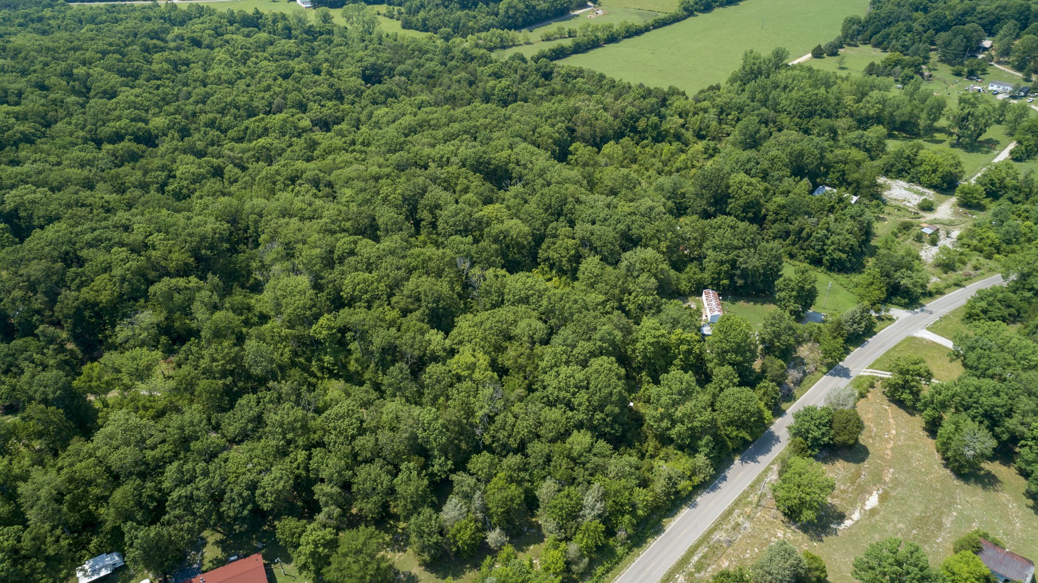 5196 Lunns Store Road Columbia, TN 38401 - Photo 11 of 17 Gallery Image 11