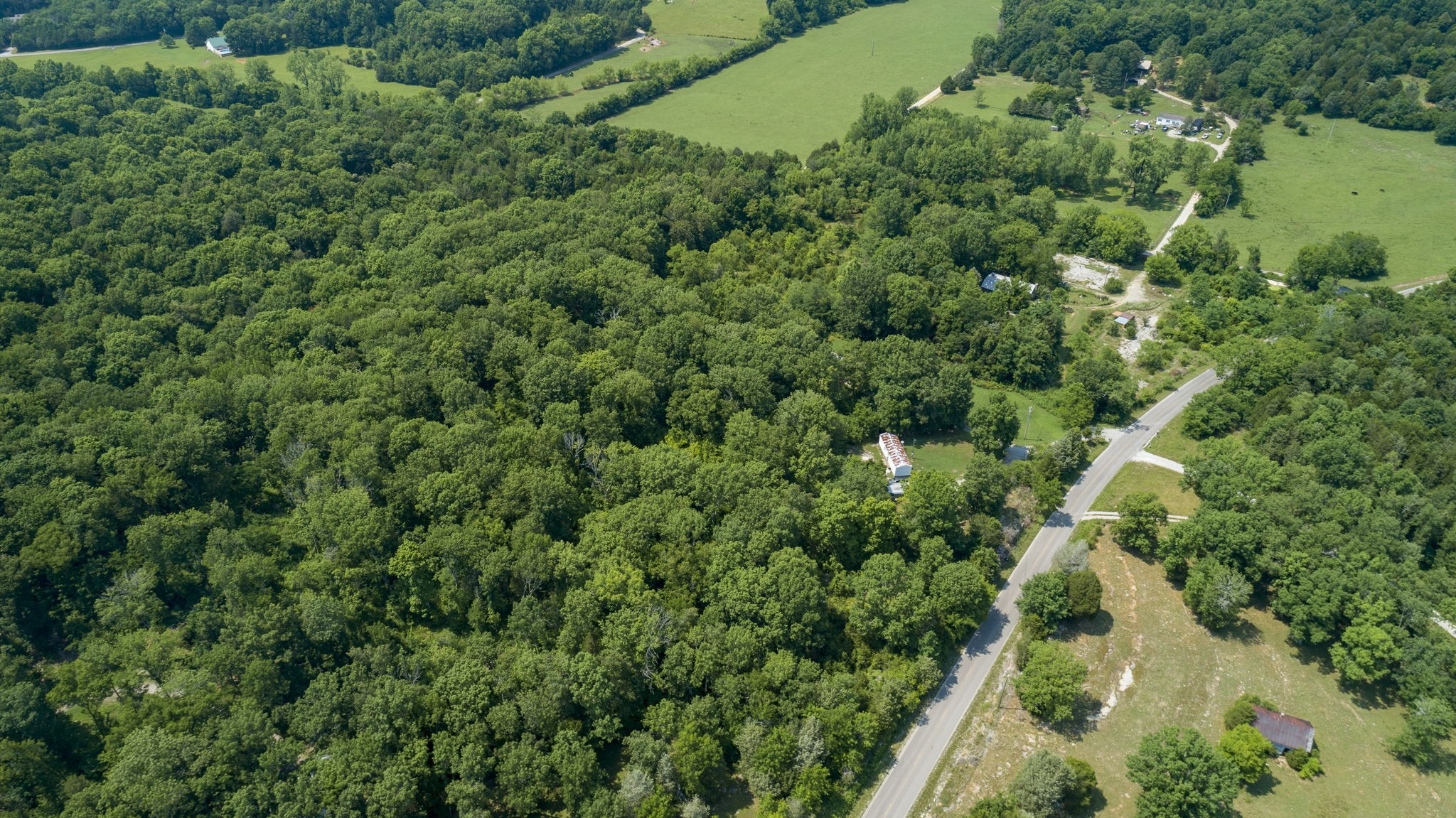 5196 Lunns Store Road Columbia, TN 38401 - Photo 15 of 17 Gallery Image 15