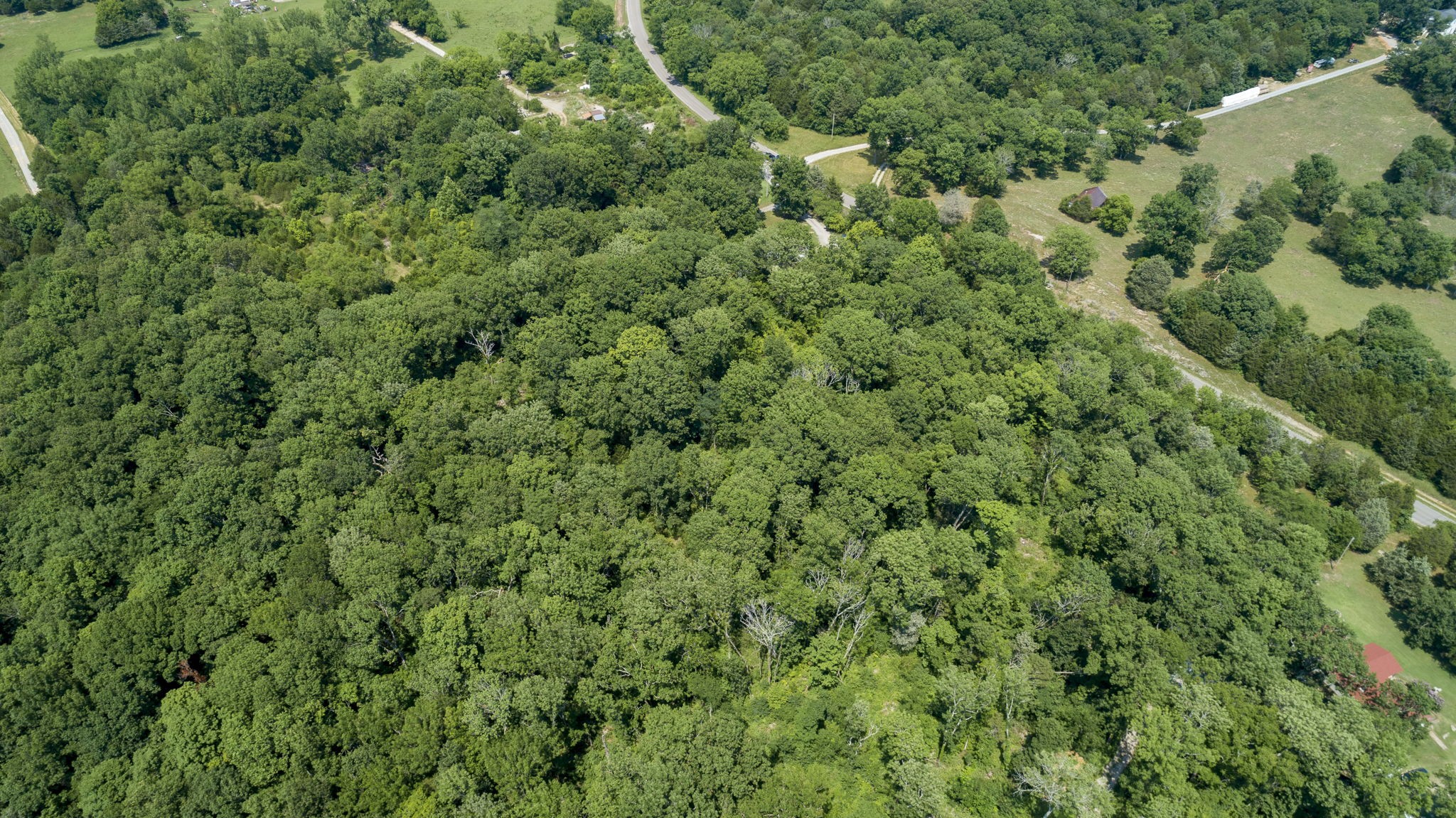 5196 Lunns Store Road Columbia, TN 38401 - Photo 9 of 17 Gallery Image 9