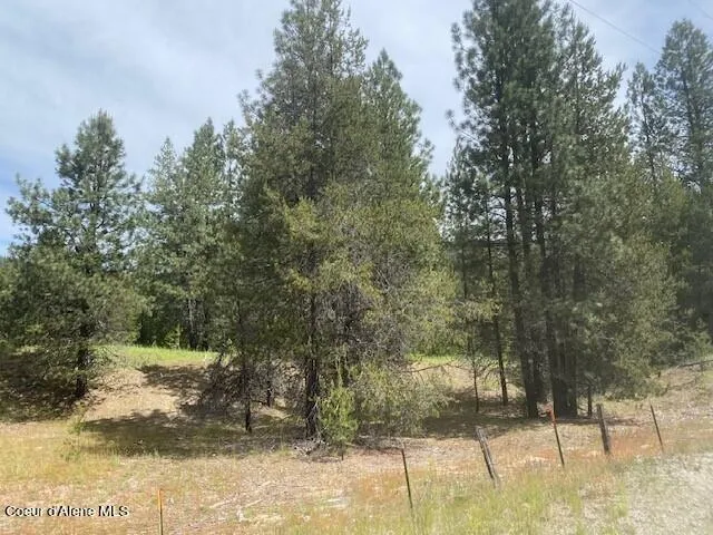 $380,000 | 20 Ac Blue Lake Road, Priest River, ID 83856