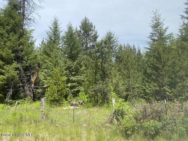 20 Ac Blue Lake Road Priest River, ID 83856 - Photo 12 of 17 View inside property South side 2