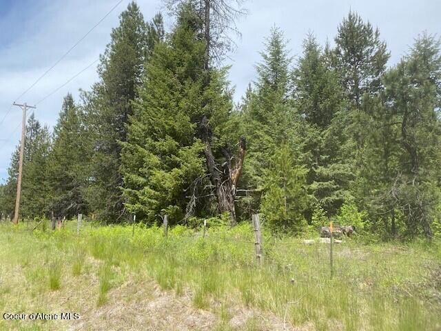 20 Ac Blue Lake Road Priest River, ID 83856 - Photo 13 of 17 View inside property South side 3