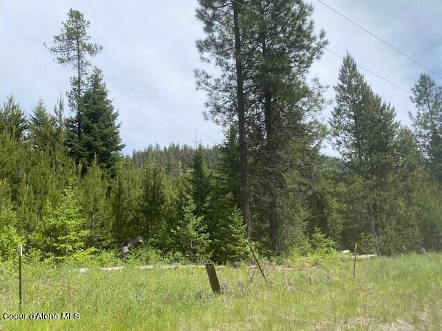 20 Ac Blue Lake Road Priest River, ID 83856 - Photo 14 of 17 View inside property South side 4