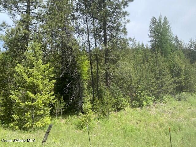 20 Ac Blue Lake Road Priest River, ID 83856 - Photo 15 of 17 View inside property South side 5