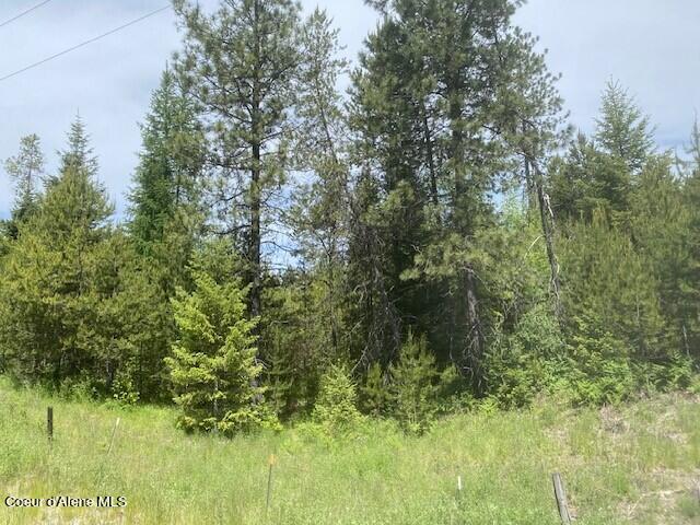 20 Ac Blue Lake Road Priest River, ID 83856 - Photo 16 of 17 View inside property South side 6