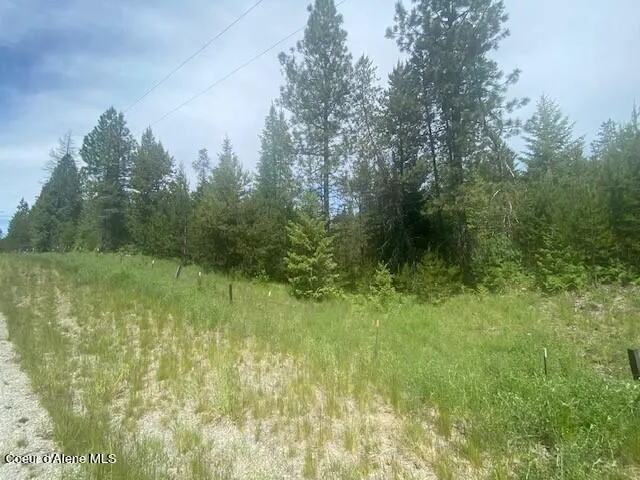 $380,000 | 20 Ac Blue Lake Road, Priest River, ID 83856