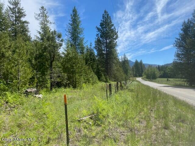 20 Ac Blue Lake Road Priest River, ID 83856 - Photo 6 of 17 Road