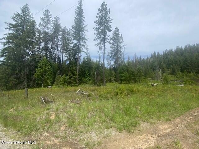 20 Ac Blue Lake Road Priest River, ID 83856 - Photo 7 of 17 SW side of property