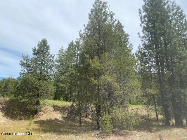 $380,000 | 20 Ac Blue Lake Road, Priest River, ID 83856