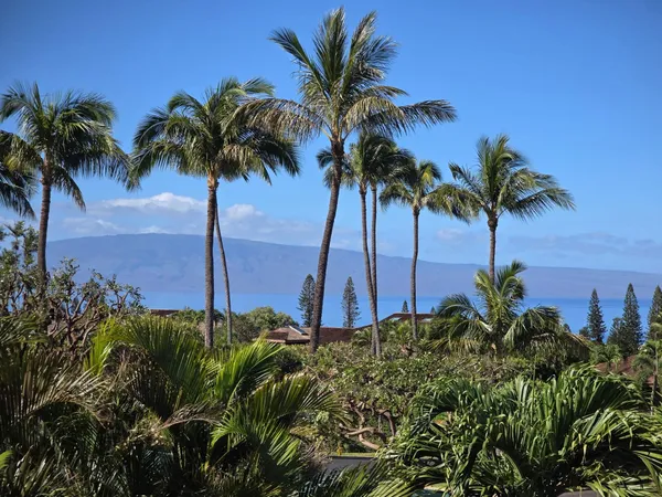 $2,349,000 | 56 South Iwa Place, Lahaina, HI 96761