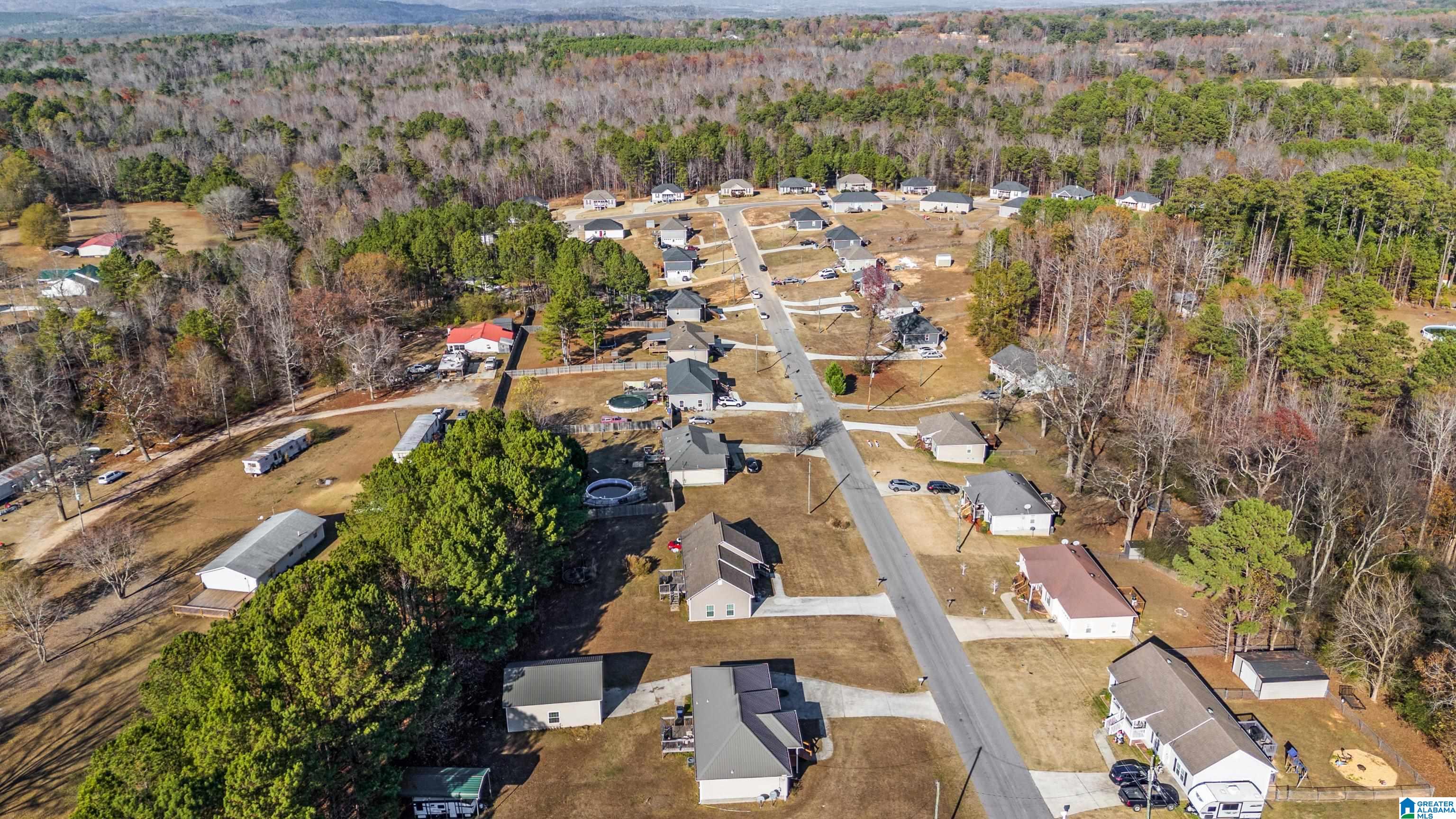 35 Hidden Circle Hayden, AL 35079 - Photo 27 of 28