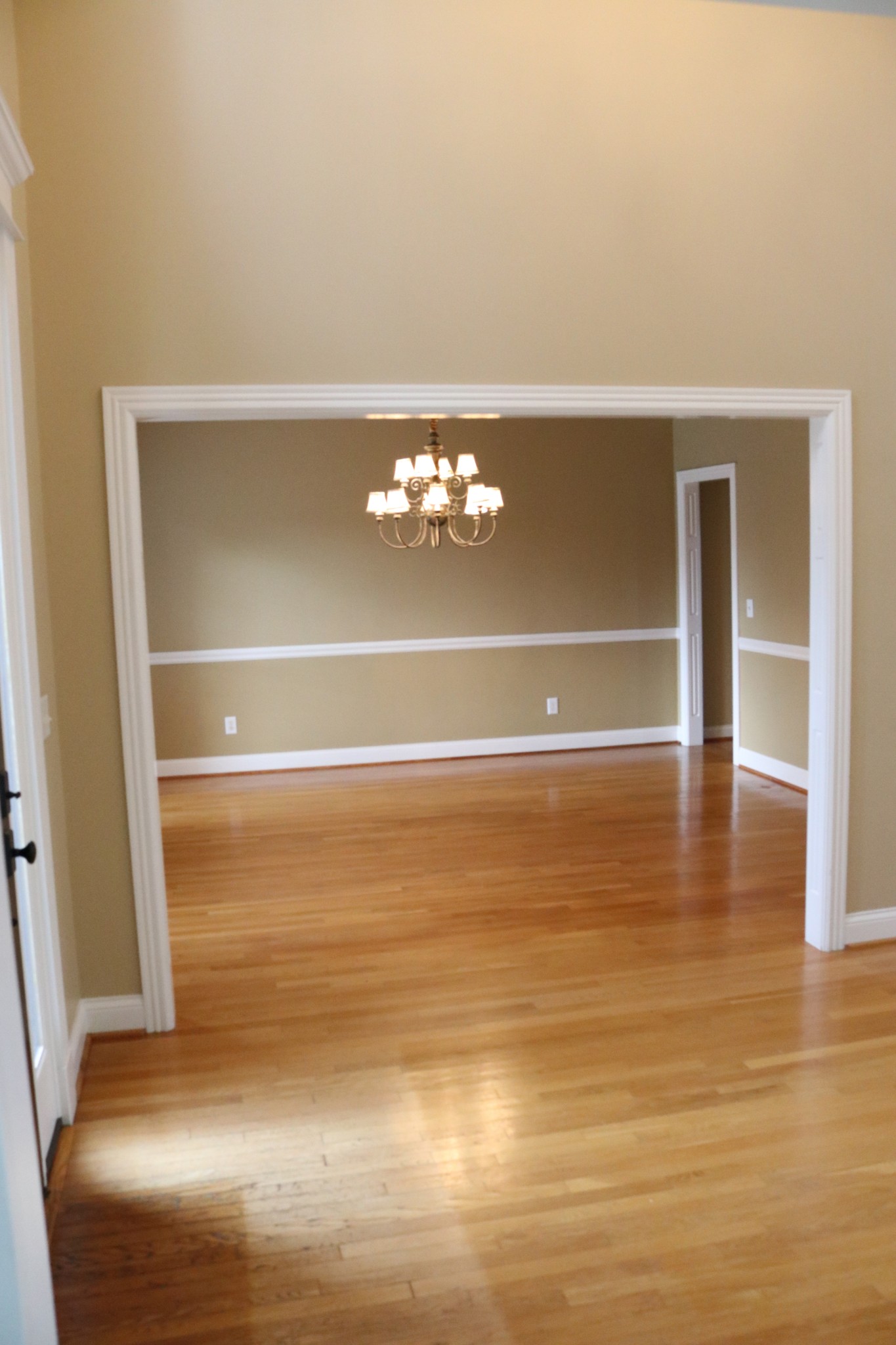 216 Lake Ridge Court Franklin, TN 37069 - Photo 12 of 75