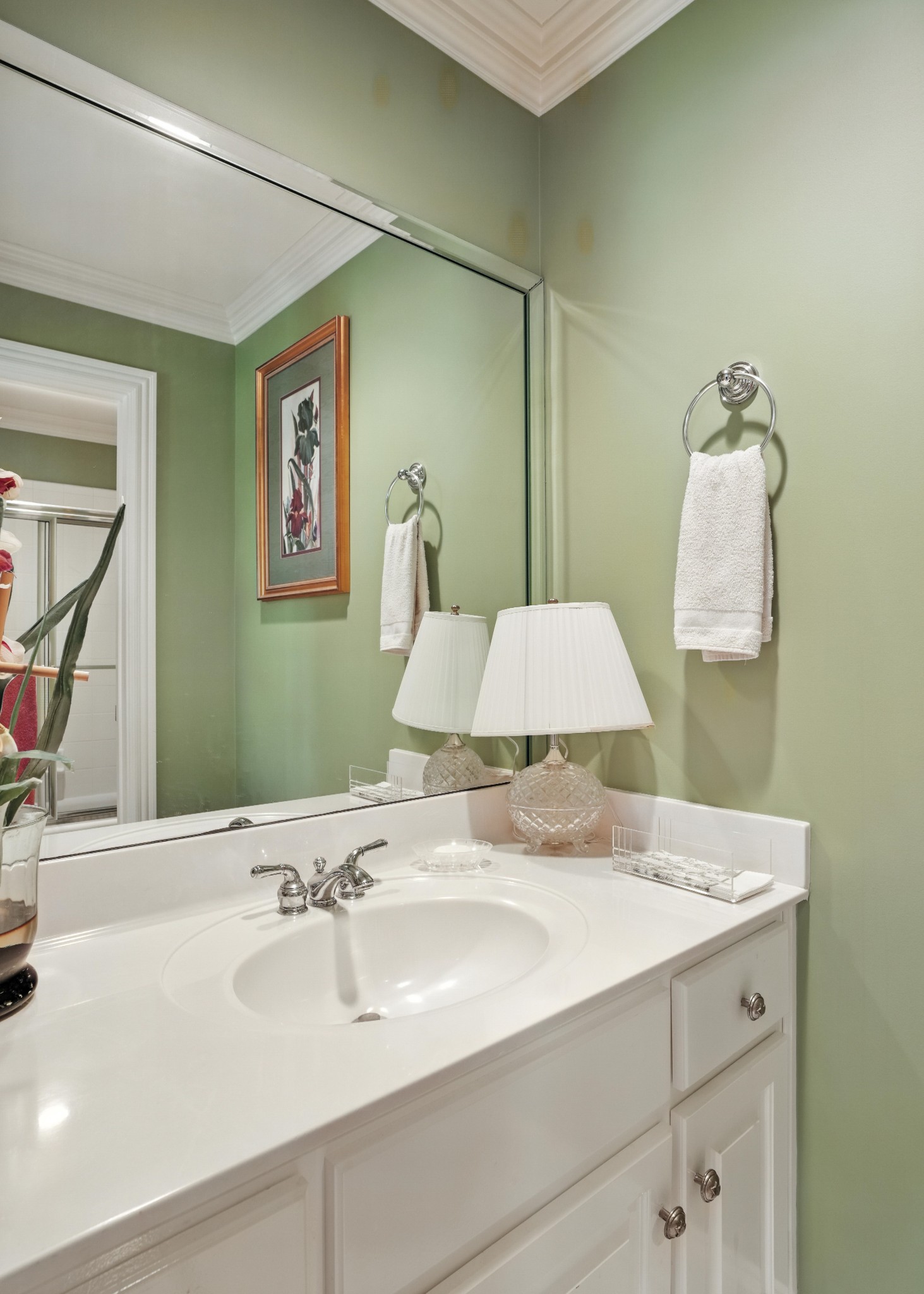 216 Lake Ridge Court Franklin, TN 37069 - Photo 60 of 75 a bathroom with a sink and a mirror