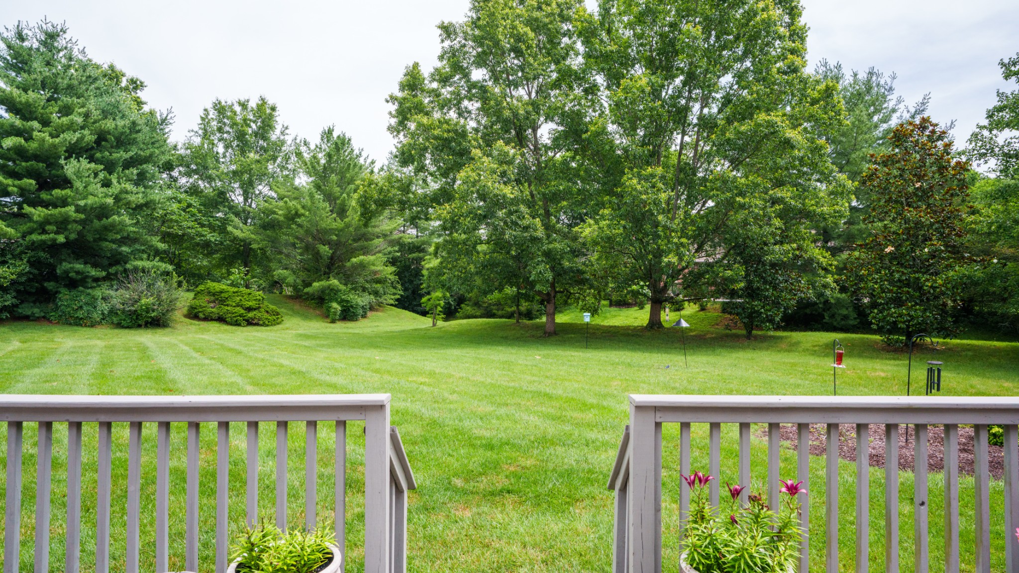 216 Lake Ridge Court Franklin, TN 37069 - Photo 64 of 75 a view of an outdoor space and a garden
