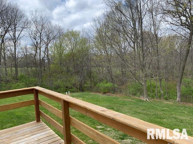 1456 Perbix Road Chapin, IL 62628 - Photo 7 of 37