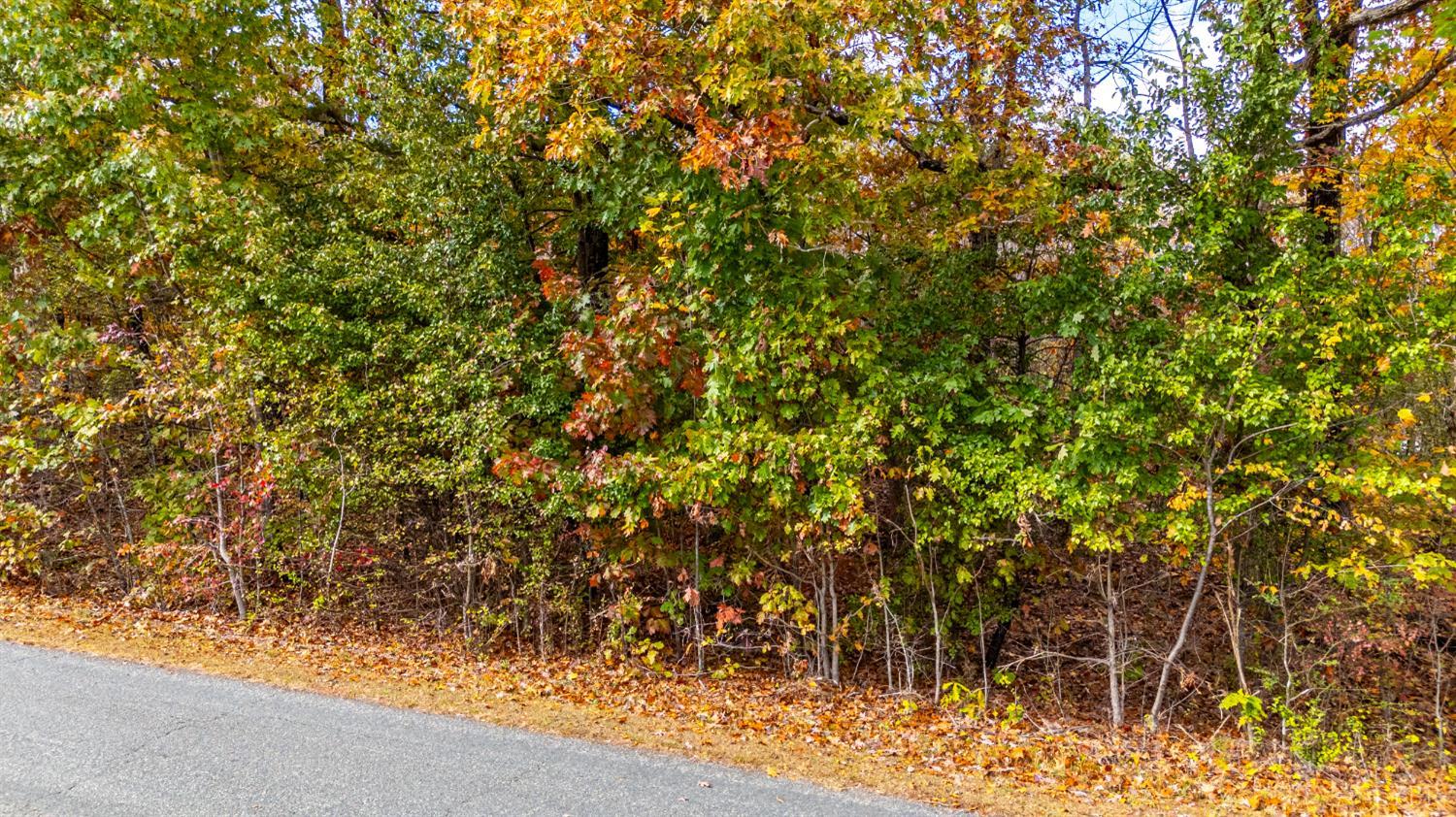 0 Pin Oak Road Prospect, VA 23960 - Photo 2 of 25 Gallery Image 2