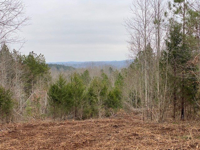 0 South No Pone, Unit PONE Decatur, TN 37322 - Photo 16 of 20