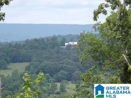 0 Beaver Ridge Drive, Unit 42 48 Ashville, AL 35953 - Photo 4 of 26