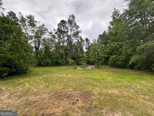 a view of a field with trees in front of it