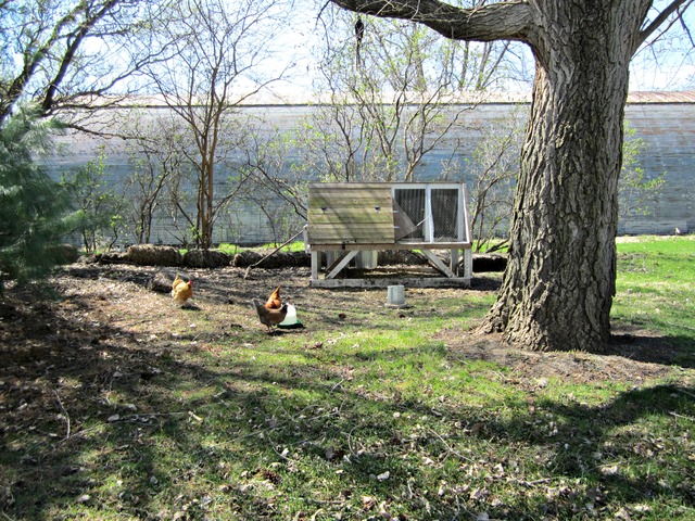 1331 Steward Road Steward, IL 60553 - Photo 23 of 23