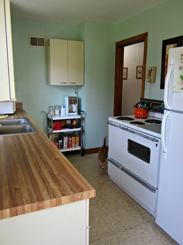 1331 Steward Road Steward, IL 60553 - Photo 7 of 23