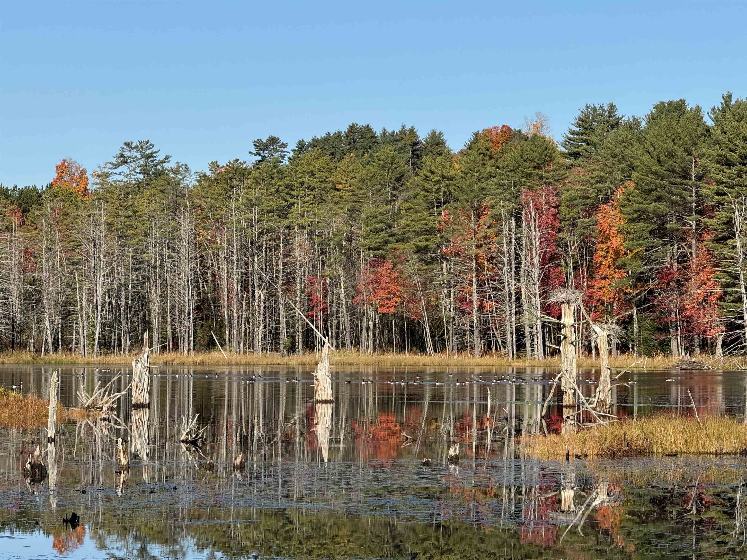 555 Shaker Road North Sutton, NH 03260 - Photo 1 of 22