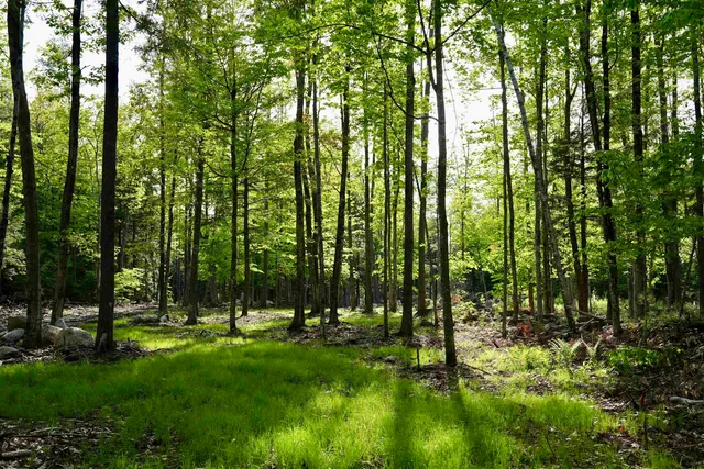 $439,000 | 555 Shaker Road, North Sutton, NH 03260