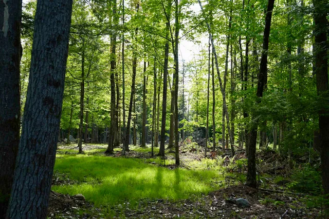 $439,000 | 555 Shaker Road, North Sutton, NH 03260