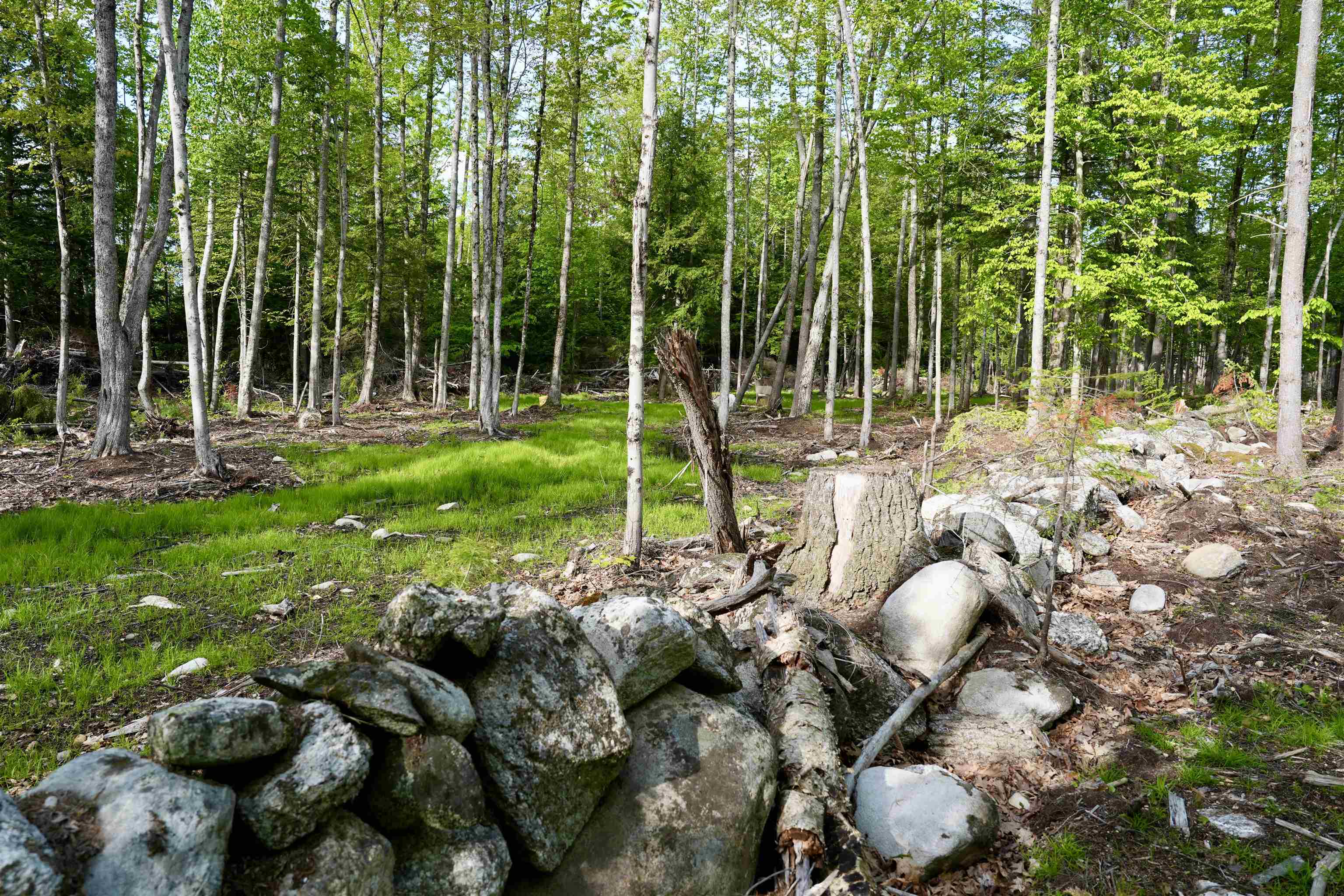 555 Shaker Road North Sutton, NH 03260 - Photo 13 of 22