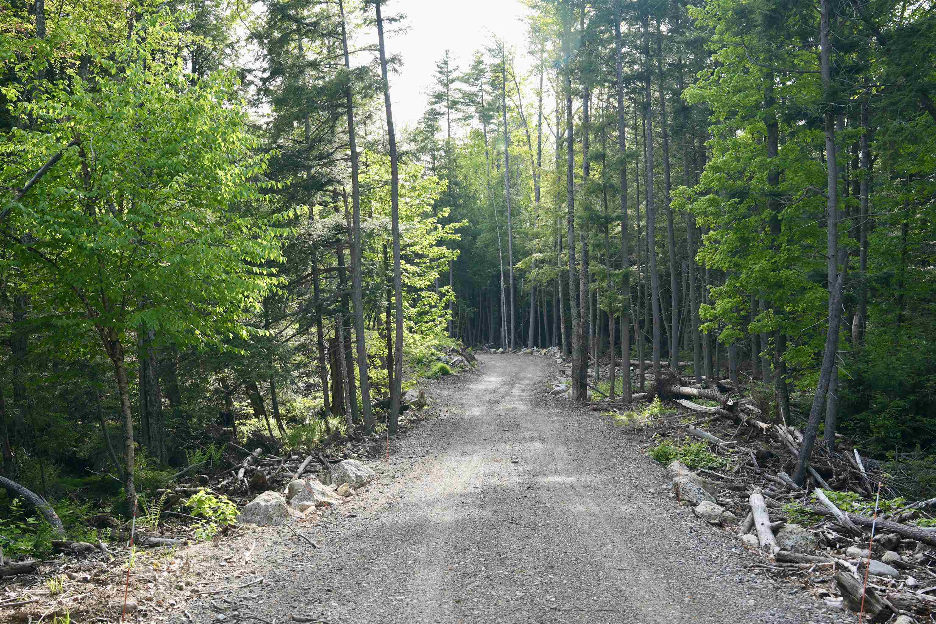 555 Shaker Road North Sutton, NH 03260 - Photo 17 of 22