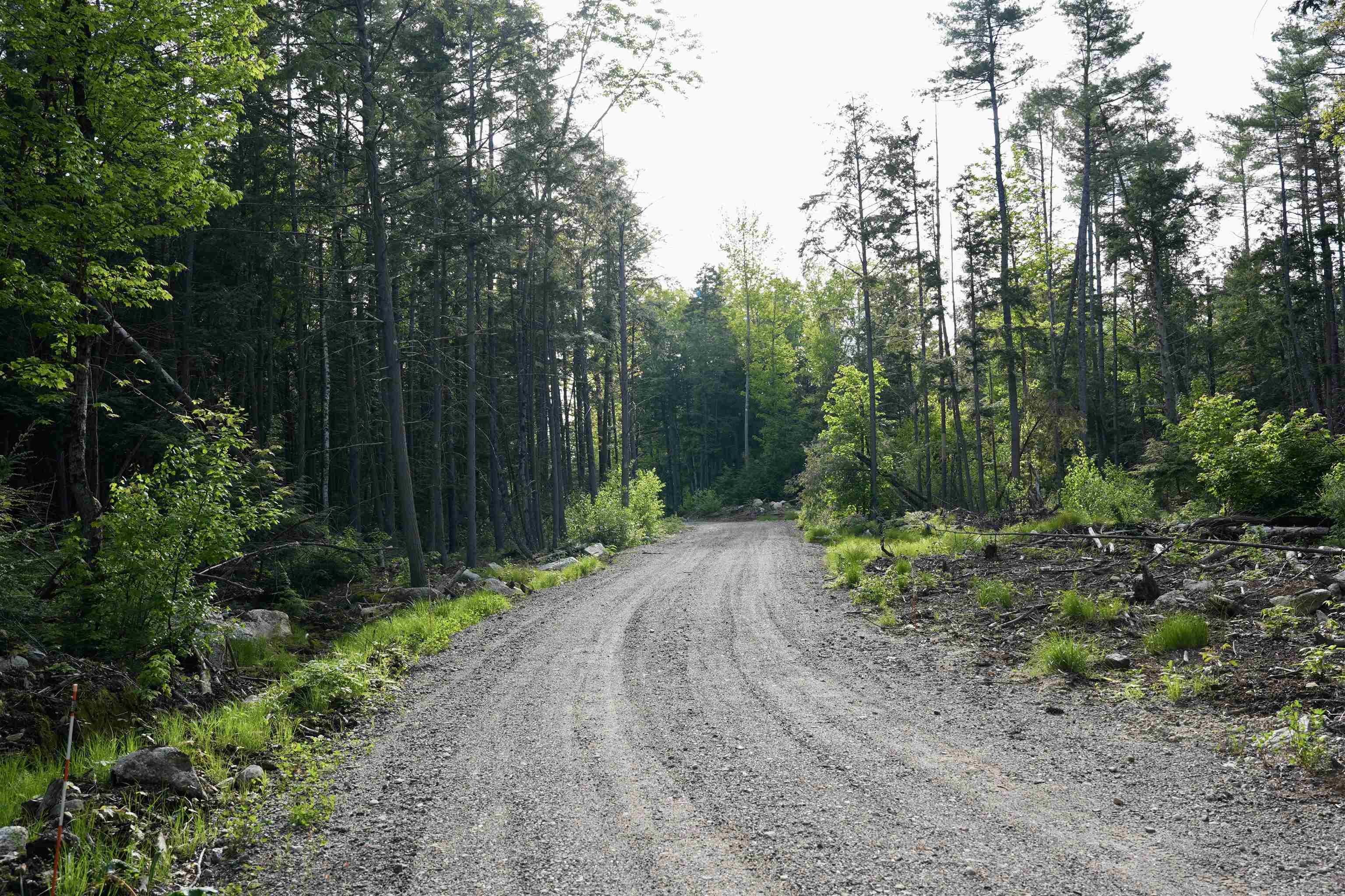 555 Shaker Road North Sutton, NH 03260 - Photo 18 of 22