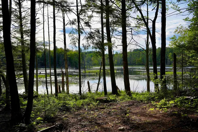 $439,000 | 555 Shaker Road, North Sutton, NH 03260