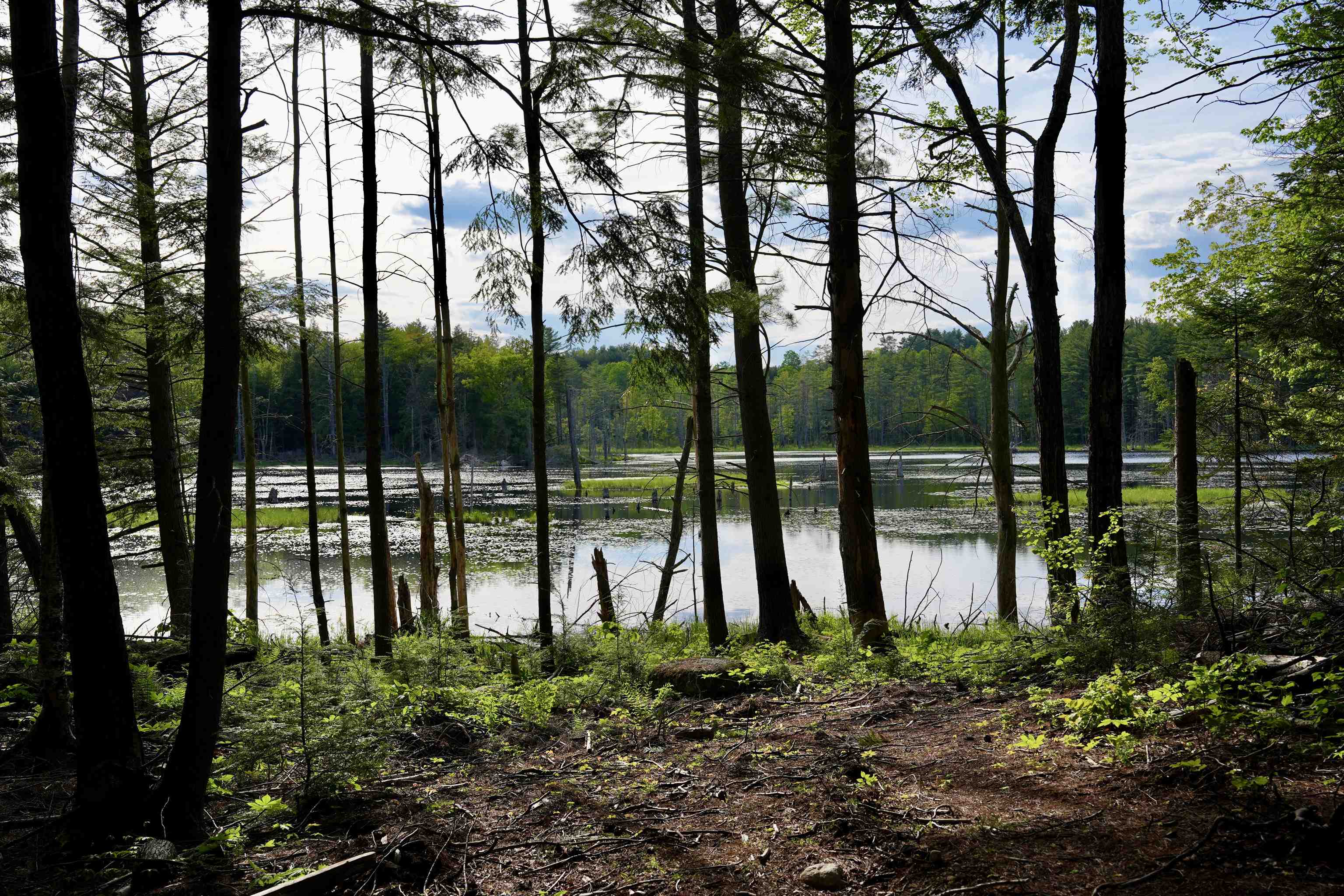 555 Shaker Road North Sutton, NH 03260 - Photo 19 of 22