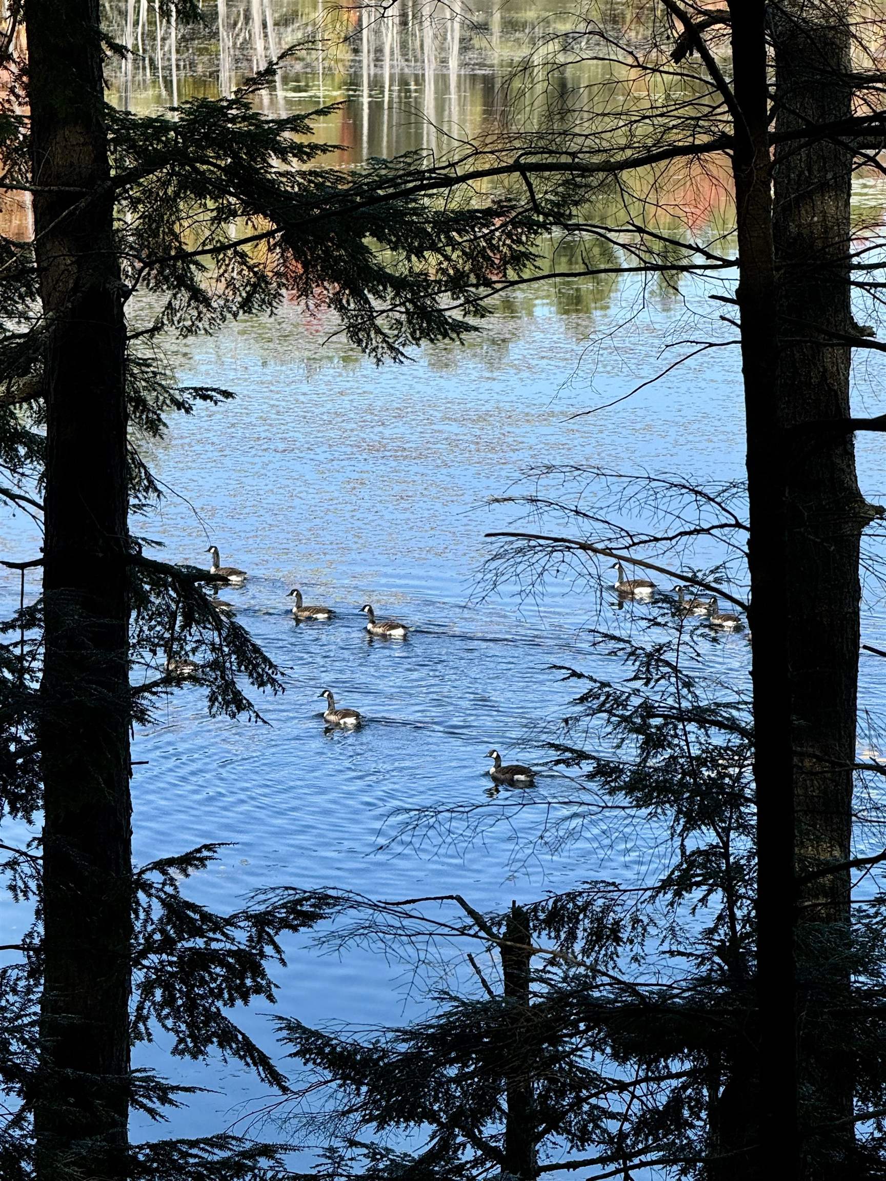 555 Shaker Road North Sutton, NH 03260 - Photo 2 of 22