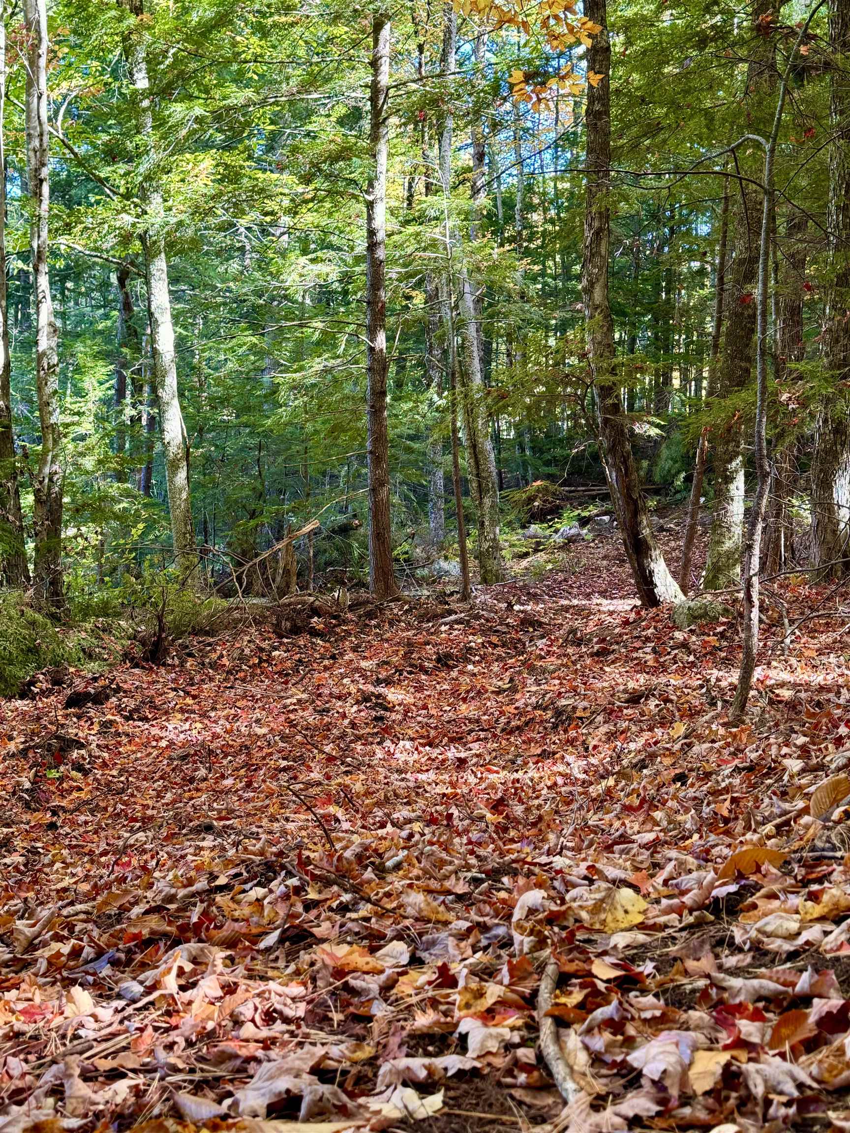 555 Shaker Road North Sutton, NH 03260 - Photo 5 of 22