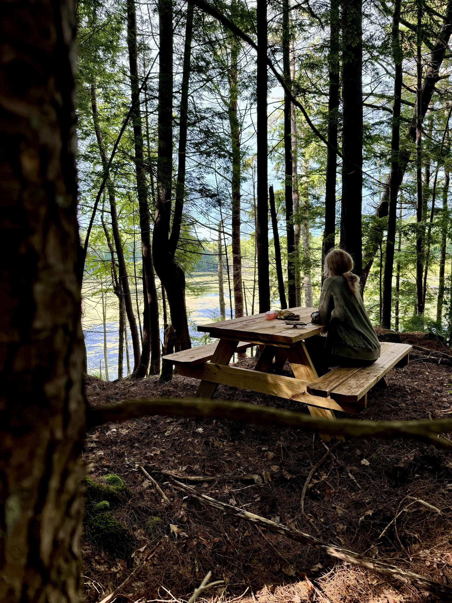 555 Shaker Road North Sutton, NH 03260 - Photo 6 of 22