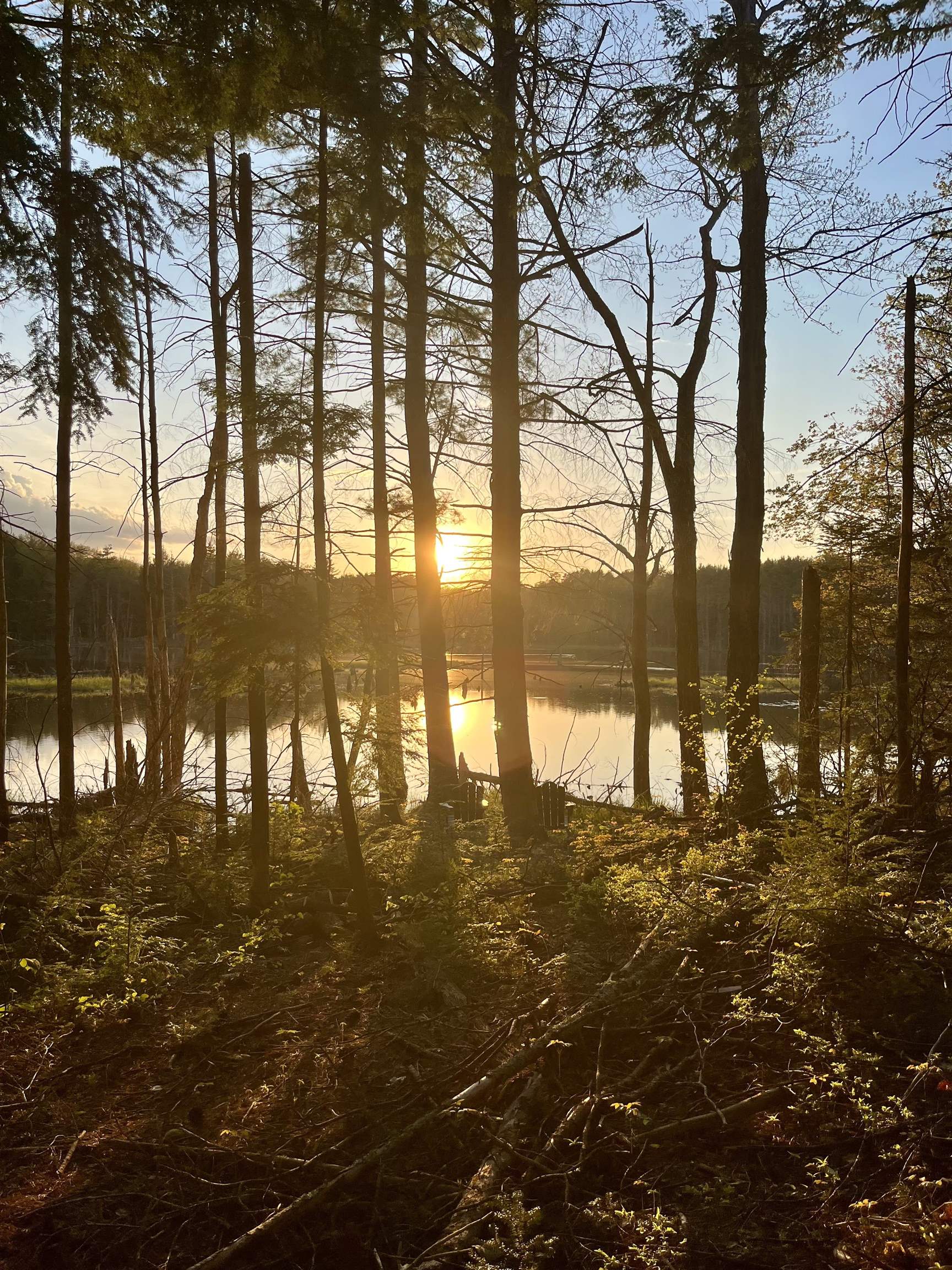 555 Shaker Road North Sutton, NH 03260 - Photo 9 of 22
