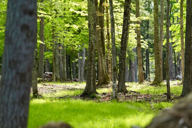 $439,000 | 555 Shaker Road, North Sutton, NH 03260