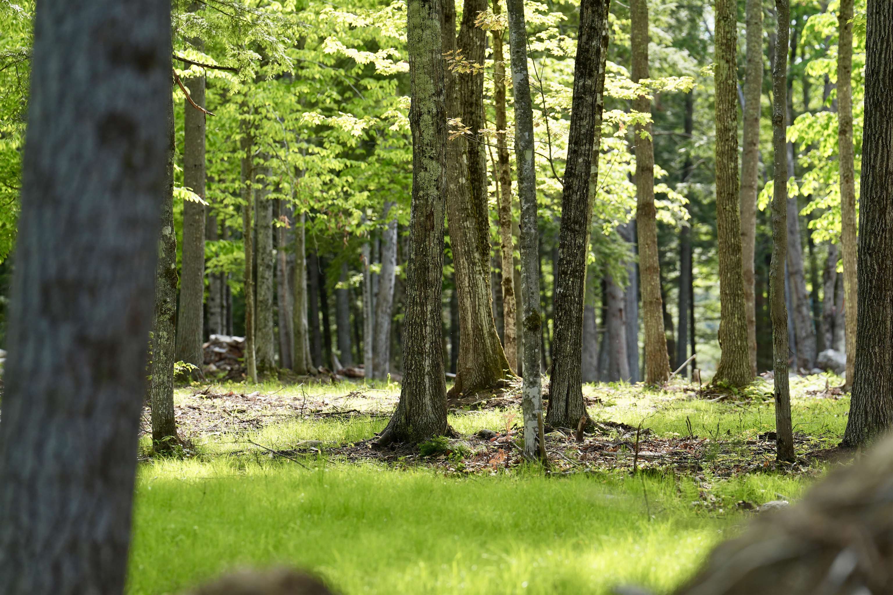 555 Shaker Road North Sutton, NH 03260 - Photo 10 of 22