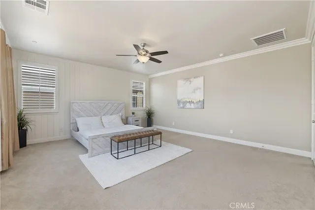 a view of a backyard with a garden and plants