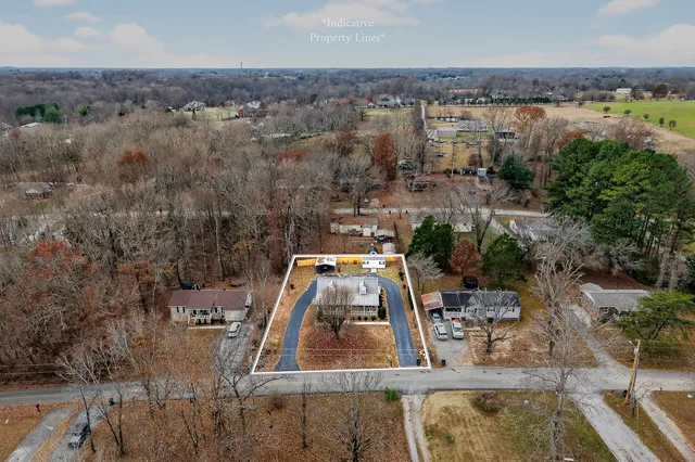 a view of a brick house with a yard and large tree and plants