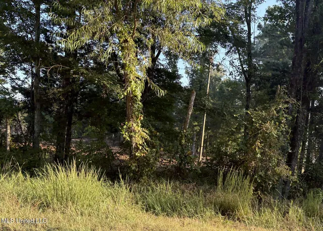 $383,000 | 0 Highway 80, Forest, MS 39074