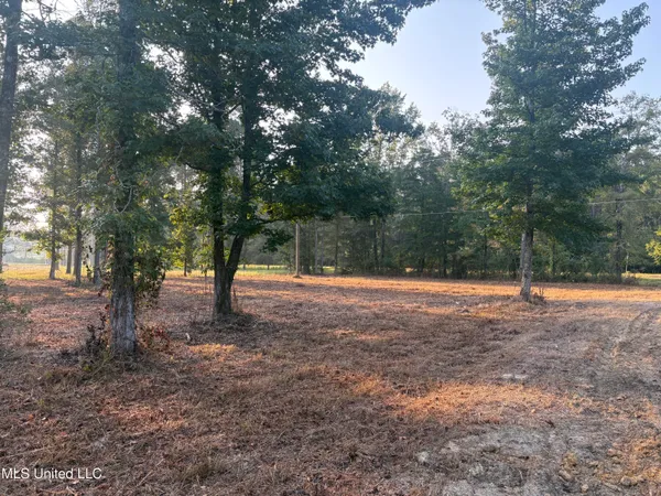 $383,000 | 0 Highway 80, Forest, MS 39074