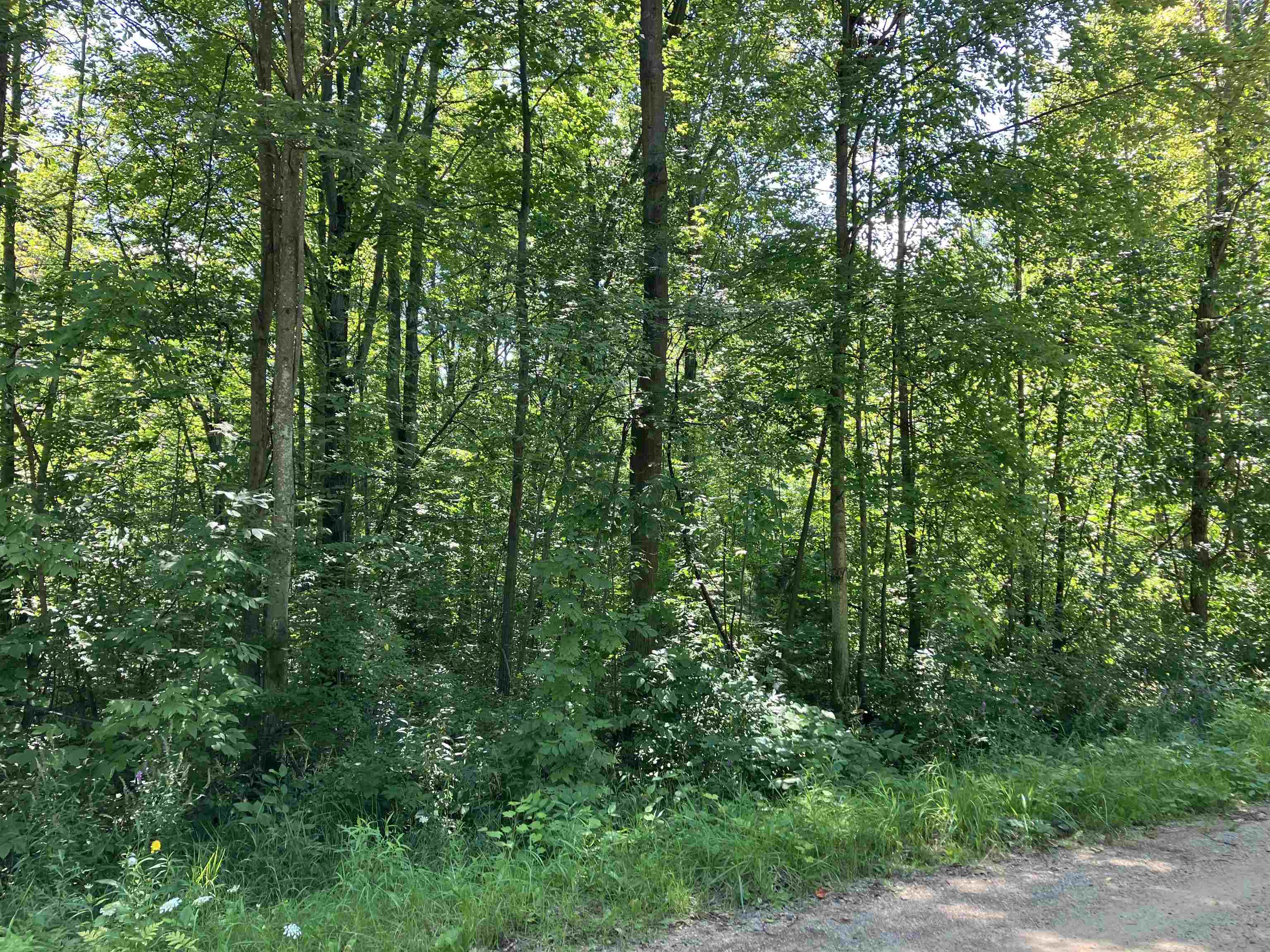 3642 Beech Road Midland, MI 48642 - Photo 1 of 6