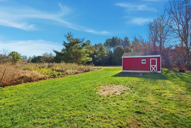 a view of a yard with an tree