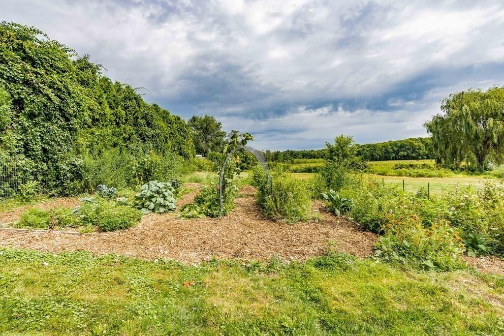 109 New Ludlow Road Granby, MA 01033 - Photo 8 of 42 a view of a garden with an outdoor space