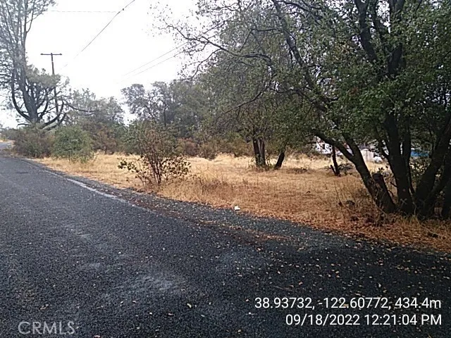 a view of dirt yard with a large tree