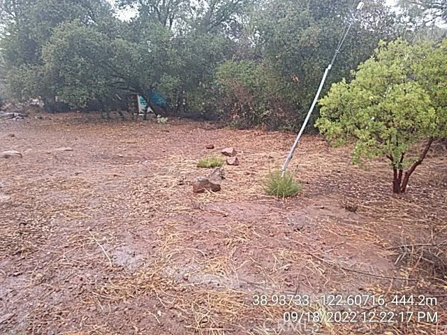 a view of a dry yard with trees